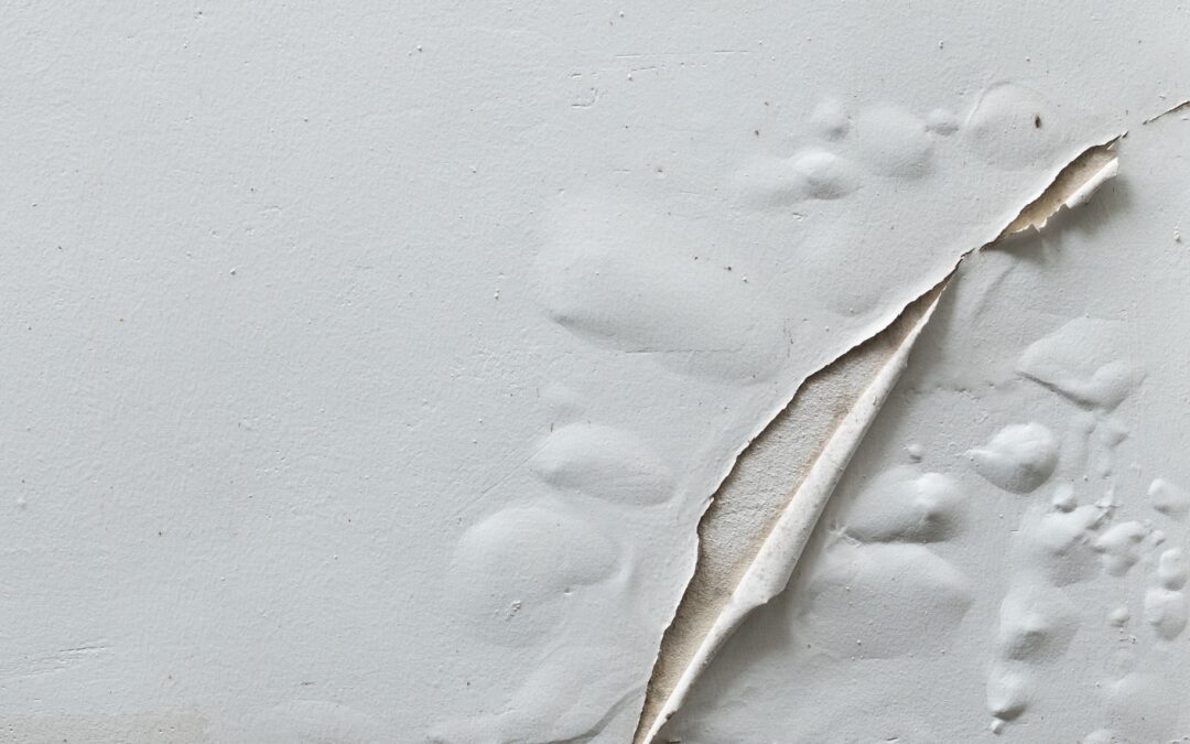 Essential Steps to Prevent Paint Failure