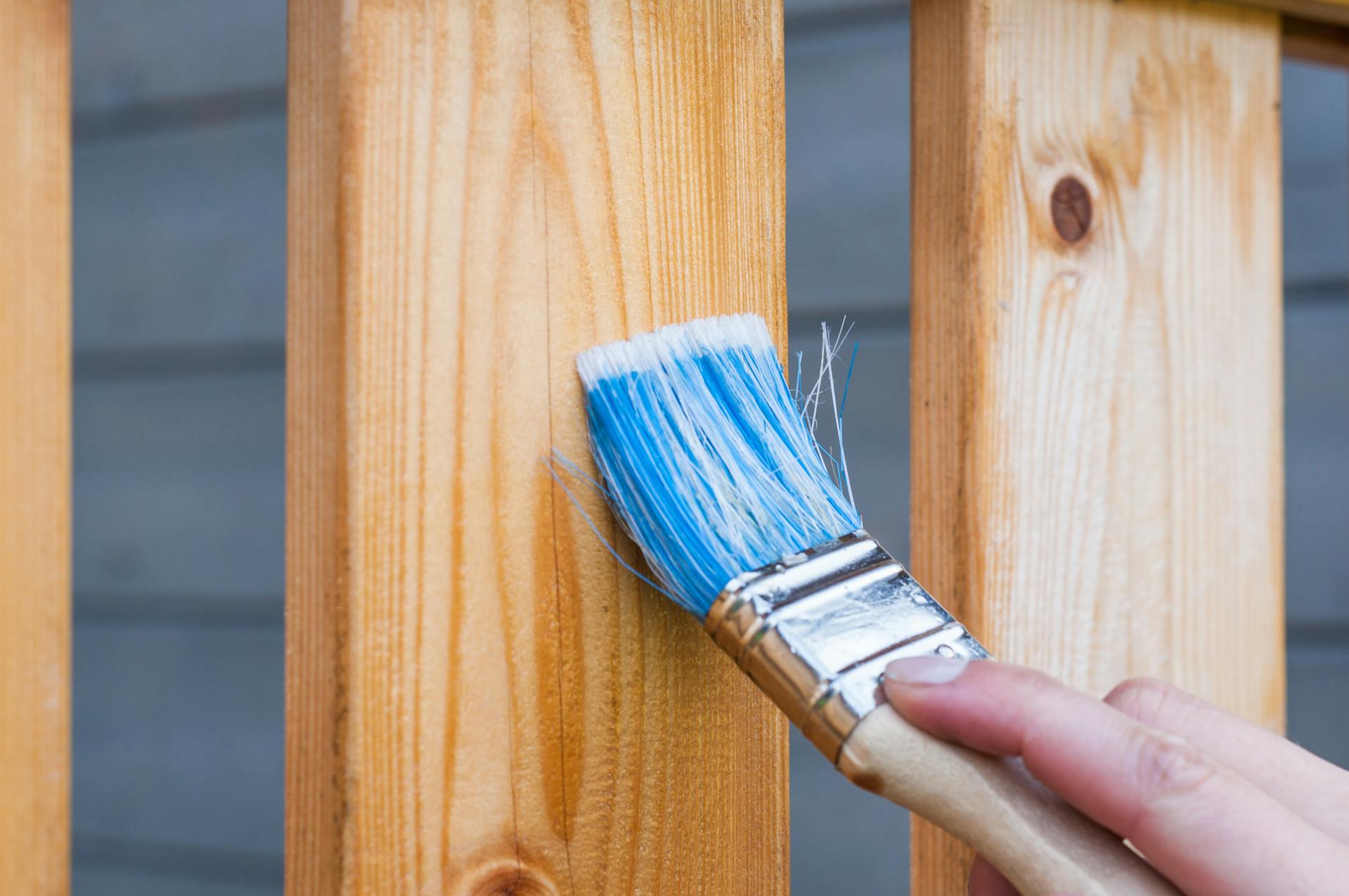 Fence Painting Fence Painting