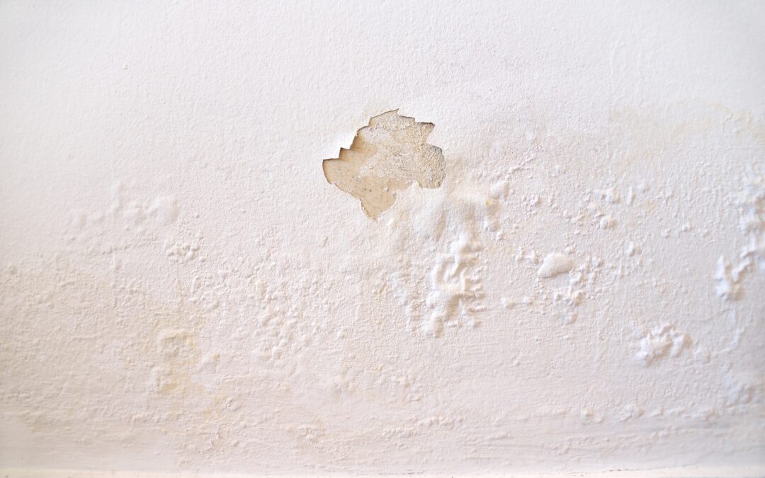 Peeling Paint Explained: Common Causes & Pro Solutions